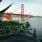 The Top Things to Do in San Francisco with Kids