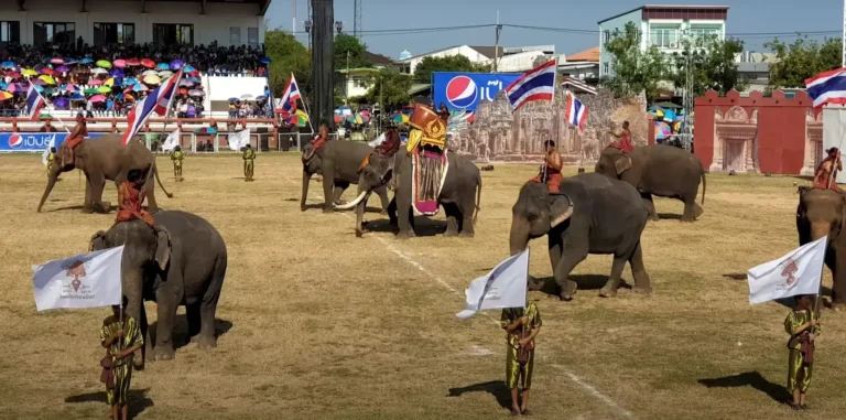 Elephant Round-up Festival Surin Thailand