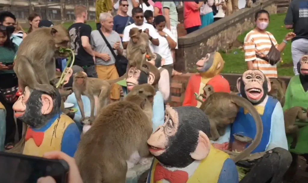 Lopburi Monkey Banquet Festival