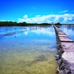 Olango Island Wildlife Sanctuary