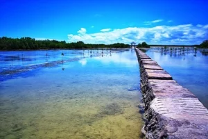 Olango Island Wildlife Sanctuary