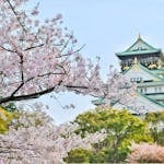 Experiencing Spring in Japan