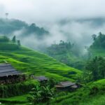 beautiful december in toraja