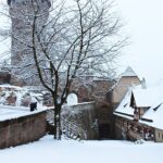 Nürnberger Christkindlesmarkt Germany