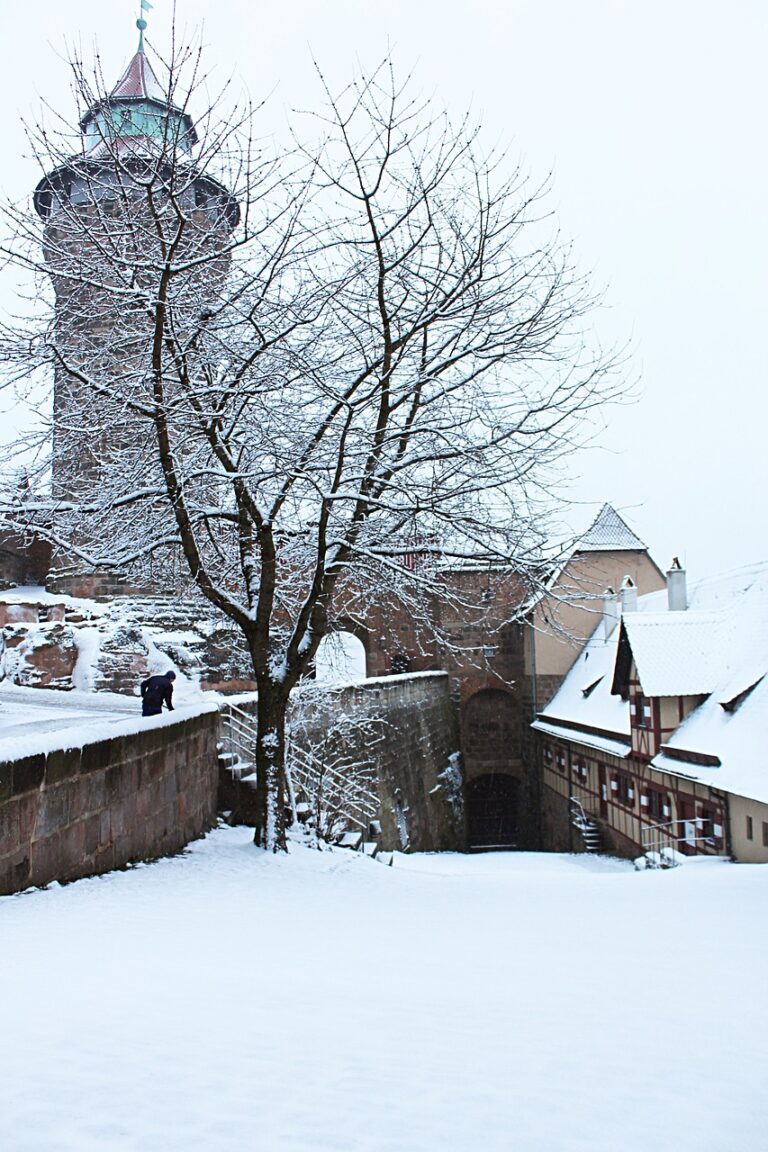 Nürnberger Christkindlesmarkt Germany